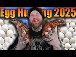 Its Finally Begun! Gecko Season 2025 [Rare Geckos & Crazy Morphs!]