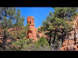 How to create an amazing roadtrip caravan! Butterfly Tracks Live Replay.