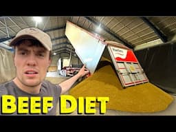 Beef Price Still Rising? | Needing Tractor Tyres | Boss Off Farm