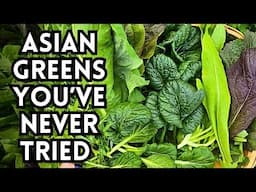 Asian Greens You’ve Never Heard Of But Should Totally Grow! Review Of Asian Greens & Vegetables