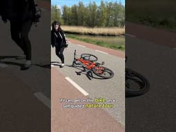 Self Guided Nature Bike Tour In Holland
