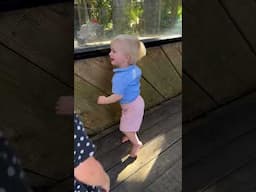 We got to visit the #Zoo with our lil crew! The head rub at the end makes me smile! ☀️🦒🦓🐘 #shorts