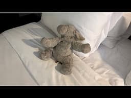 Homeskoolin’ Road Update…”Lamby’s Blues”