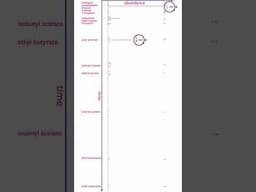 How to read a chromatogram! GC/FID of rum!