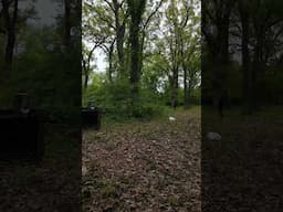 Distance Shooting with the Axiom PRO Slingshot