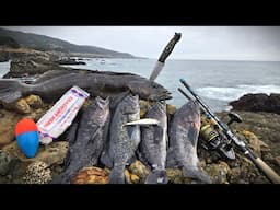SOLO Catch and Cook - NEW Fishing Techniques to be More Successful!