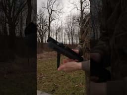 $200 Vs $800 Air Shotgun  #airgun #airgunning #gun #airrifleshooting #shorts