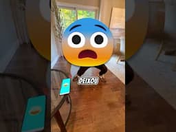 Se este animal estiver na sua casa... chame a polícia imediatamente! 😱🐓
