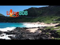 Living808 Spotlights UH Circle of Honor Inductees Kelly Majam ELMS and Chris McLachlin