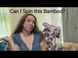 Can I Spin Bamboo Fiber?