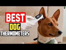 ✅Top 5 Best Dog Thermometers in 2025