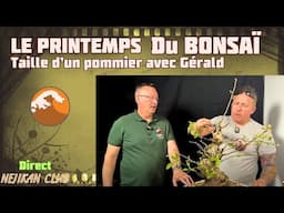 Taille d’un Pommier avec un de mes Élèves 🟢 NEJIKAN CLUB PUBLIC 🟢