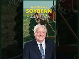 🎥 Catch up with the soybean markets before the USDA Supply/Demand Report // #advancetrading #shorts