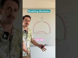 Breathing Mechanics