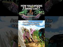 How Half Moons Bring Life