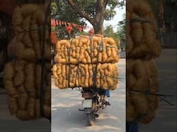 Visiting a Rice Noodle Village in Northern Vietnam | Cu Da #shorts #rice #noodles
