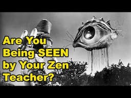 Are You Being Seen by Your Zen Teacher?