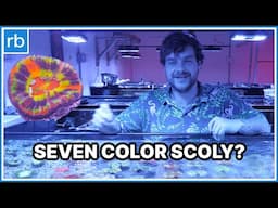 Unboxing A Global Shipment At A Coral Importer - INSANE Scolymia