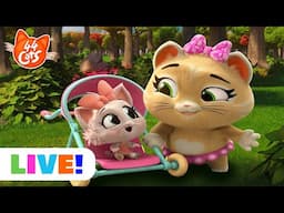 🔴 LIVE | 44 Cats Full Episodes Marathon | Pilou Kittysitter & More! 🧸🍼