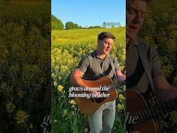 Settle this - What do you call this song?  ‘Wild Mountain Thyme’ or ‘Will Ye Go, Lassie, Go’? 🧐