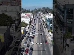 The Original Hollywood #history