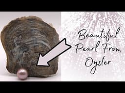 Beautiful Pearl from Oyster!