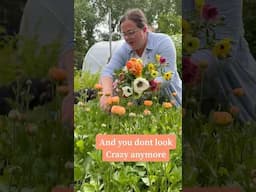 The method to my madness. #cutflowers #coolflowers