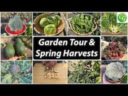 California Gardening Spring Harvests & Organic Gardening Tips