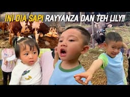 RAYYANZA DAN TEH LILY LIAT SAPI SEBELUM DIQURBANKAN!!! RAFATHAR DAN PAPA RAFFI NONTON TIMNAS!!