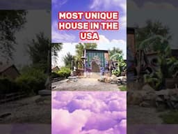 MOST UNIQUE HOUSE IN ILLINOIS, USA | ARTIST HOME #shorts