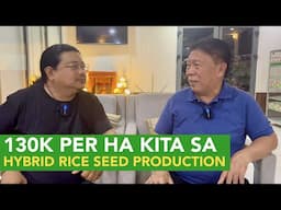 Earn 130K per Hectare with Hybrid Rice Seed Production! Amazing Profits!