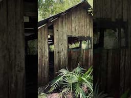 Florida Swamp Adventures / Old River Cabin