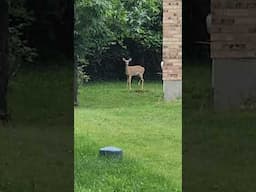 Some new friends at work.