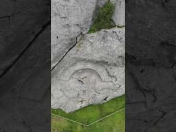 Strange Unknown Stone Engraving Killarumiyoq #strange #unknown #stone #engraving