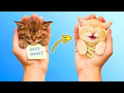 Parası Olmayan Bir Kediyi Sahiplendim! 🐾 Gizli İpuçlarım Onu Prenses Yapabilir mi? 👑