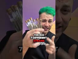 Are these all the same? 👀