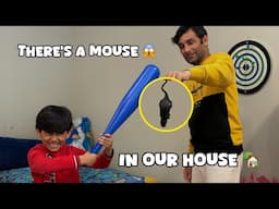 There's a MOUSE in the HOUSE ! 🐭