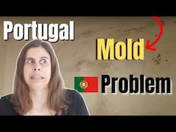 The Hidden Mold Problem in Portugal Homes (And How We Solved It)