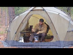 Solo Camping in Heavy rain with My Dog . Thunderstorm . Cozy Relaxing in the Tent ASMR