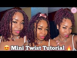 Master Mini Twists at Home | Step-by-Step Guide BEST QUALITY AFRO KINKY BULK HAIR Ft. QVR HAIR 🔥