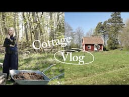 New Garden Projects, Foraging & Wild Garlic Recipes