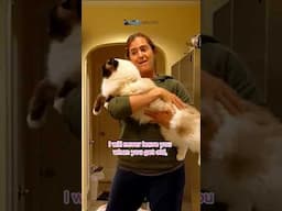A Promise to My Cat: A Love Letter in Clips - Floppycats™ #floppycats #kitten #cat