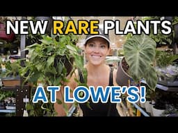 NEW RARE PLANTS AT LOWE'S!  Home Depot & Lowe's Plant Finds - Big Box Houseplant Shopping