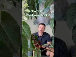 Thaks for joining & supporting me for over 3 years now!! Watch the full celebration here ⬆️