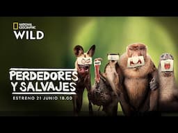 PERDEDORES Y SALVAJES | ESTRENO 21 JUNIO 18.00 | NATIONAL GEOGRAPHIC WILD ESPAÑA