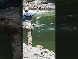 💥ACROBATICS💥 #trippinontrout #fishing #rainbowtrout #fish #adventure #flyfishing #itsinyourdna