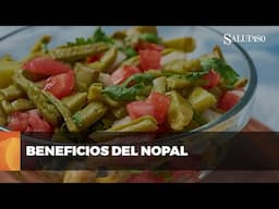 Descubre los beneficios y propiedades curativas del nopal | Salud180