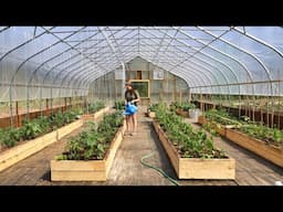 The RACE is On to Plant Our 2025 Summer Garden