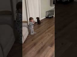 Our 2-year-old loves training her puppy Goose 👏 (🎥: ViralHog)