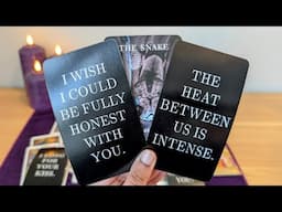 TAURUS *NO CONTACT* - "The one you don't trust..." Tarot Card Reading